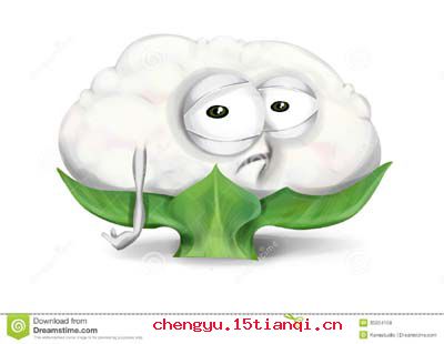 凉了半截的故事图片